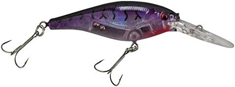Berkley Flicker Shad Fishing Lure, Flashy Purple Tiger, 1/2 oz, 3 1/2in | 9cm Crankbaits, Size, Profile and Dive Depth Imitates Real Shad, Equipped with Fusion19 Hook by Berkley