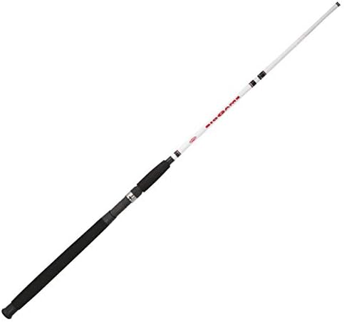 Berkley Big Game Casting Fishing Rod by Berkley