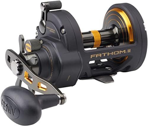 Penn Fathom II Star Drag Conventional Fishing Reel, Black Gold, 25N by Unknown