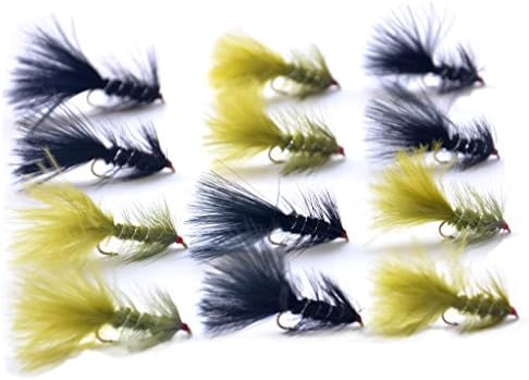 Outdoor Planet 12 Pieces Top Rating Dry/Nymph/Streamer Fly Fishing Flies Trout Fly Assortment by Outdoor+Planet