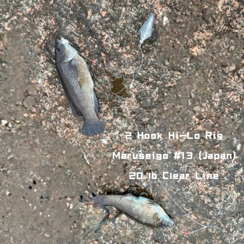 Hi-Lo Rig – Pre-Tied Hooks, PE Line, 4/6 Pack, #13/#16/#20 - Image 7