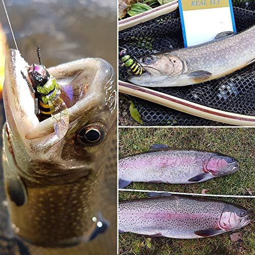 YZD Fly Fishing Flies Realistic Dry Wet Nymph Trout Flies Hand Tie Lures Kits 12/26/48 Pcs… - Image 7
