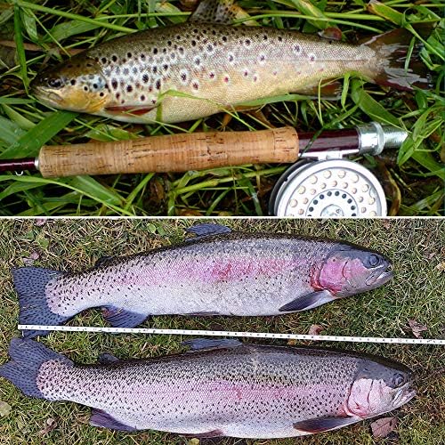 YZD Fly Fishing Flies Realistic Dry Wet Nymph Trout Flies Hand Tie Lures Kits 12/26/48 Pcs… - Image 7