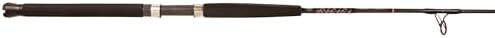 Star Rods SKTJS6XH Sequence Jigging Rod Spin by HURRICANE