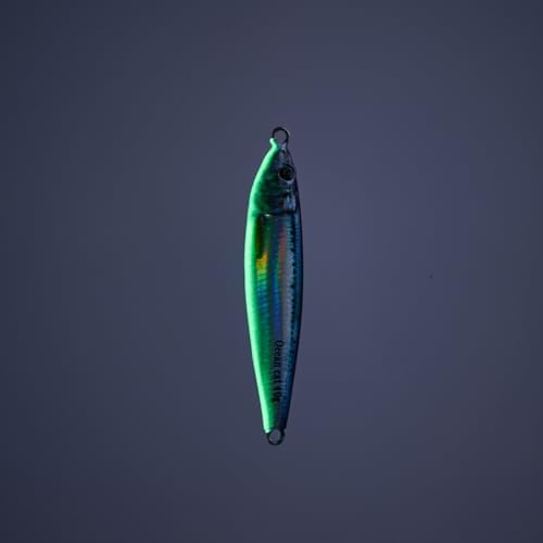 OCEAN CAT Long Casting Slow Fall Pitch Fishing Jigs Lures Lead Metal Flat Sinking Vertical Shore Jigging Bait with Assist Hook for Saltwater Freshwater Fishing 40g 60g 80g - Image 3