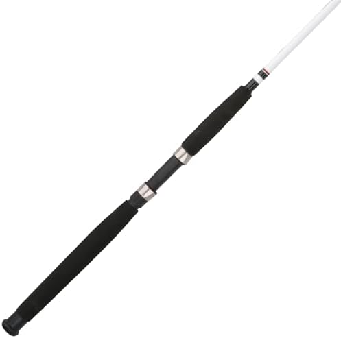 Berkley Big Game Spinning Fishing Rod by Berkley