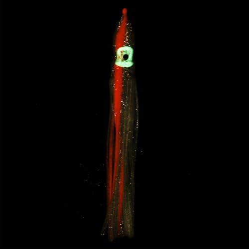 Fishing Squid Skirts, Glow Soft Plastic Trolling Lures Luminous -Fitting for (Bass/Trout/Salmon/Saltwater/Fishing Bait) - Image 4