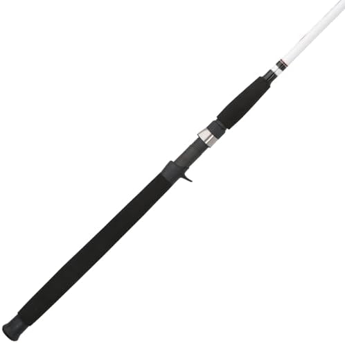 Berkley Big Game Casting Fishing Rod by Berkley