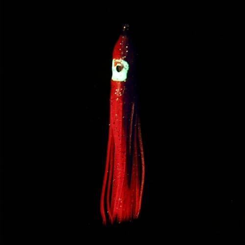 Fishing Squid Skirts, Glow Soft Plastic Trolling Lures Luminous -Fitting for (Bass/Trout/Salmon/Saltwater/Fishing Bait) - Image 4
