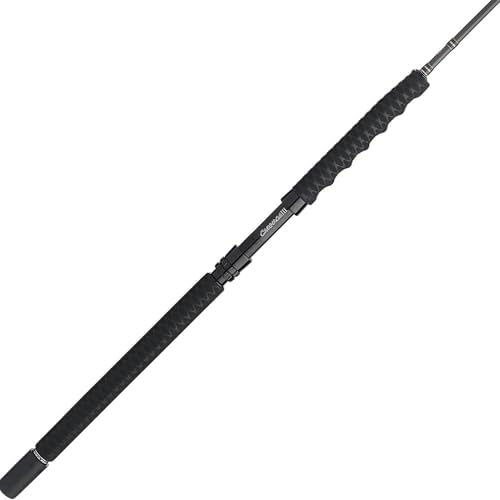 Penn® Carnage™ II Surf Spinning by Unknown