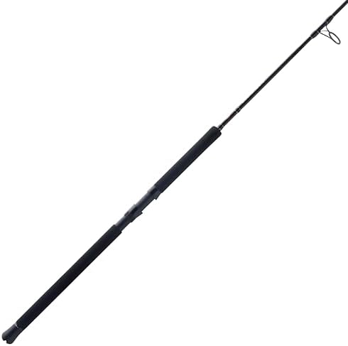 Penn Squadron IV Jig Spinning Rod by Unknown