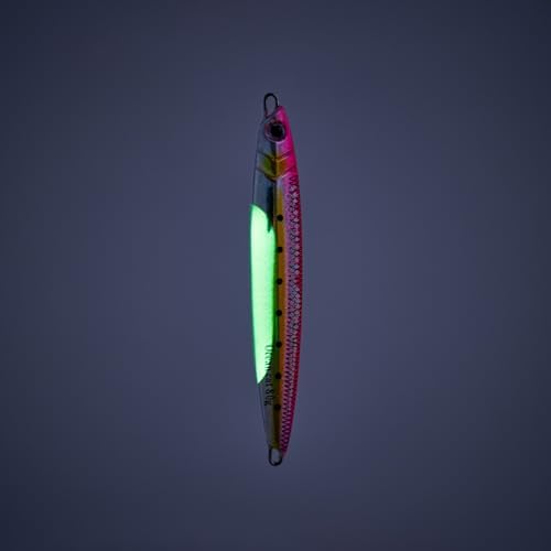 OCEAN CAT Long Casting Slow Fall Pitch Fishing Jigs Lures Lead Metal Flat Sinking Vertical Shore Jigging Bait with Assist Hook for Saltwater Freshwater Fishing 20g 40g 60g 80g - Image 3