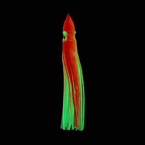 Fishing Squid Skirts Lures - Image 4