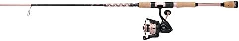Penn Passion II Spinning Reel and Fishing Rod Combo - Image 3