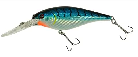Berkley Flicker Shad Fishing Lure, Blue Tiger, 5/16 oz, 2 3/4in | 7cm Crankbaits, Size, Profile and Dive Depth Imitates Real Shad, Equipped with Fusion19 Hook by Berkley