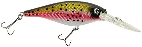 Berkley Flicker Shad Fishing Lure, Rainbow Trout, 5/16 oz, 2 3/4in | 7cm Crankbaits, Size, Profile and Dive Depth Imitates Real Shad, Equipped with Fusion19 Hook by Berkley