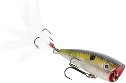 Strike King KVD Splash Hardbait Series Bait by StrikeKing