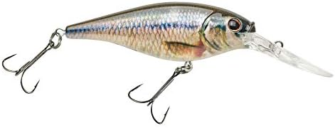 Berkley Flicker Shad Fishing Lure, HD Fathead Minnow, 5/16 oz, 2 3/4in | 7cm Crankbaits, Size, Profile and Dive Depth Imitates Real Shad, Equipped with Fusion19 Hook by Berkley