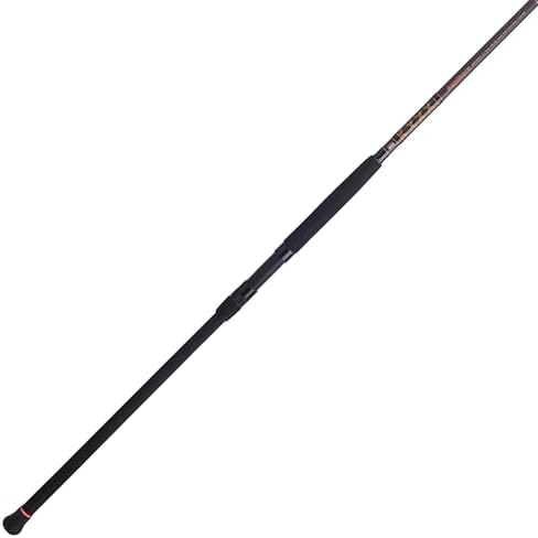 Penn Squadron IV Surf Spinning Rod by Unknown