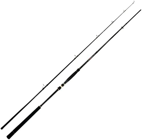 BERRYPRO Light Surf Spinning Rod Striper Fishing Rod Striped Bass surf Rod - Image 2