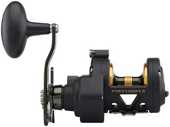 Penn Fathom II Star Drag Conventional Fishing Reel, Black Gold, 25N - Image 3