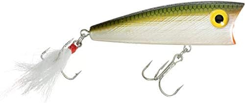 Rebel Lures Pop-R Topwater Popper Fishing Lure by Rebel