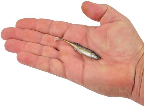 Berkley PowerBait Drip Swimmer Fishing Soft Bait - Image 5