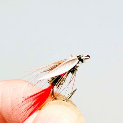 9Pc Fishing Wet Flies Bionics Worms/Midges/Moths/Flies Artificial Insect Fly Fishing Bait Salmon Trout Bass Fishing Hook Fly Fishing Lure - Image 2