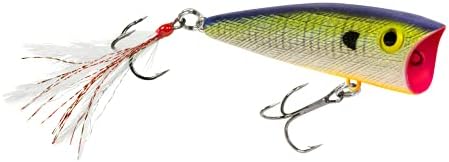 Rebel Pop-R Feathered Topwater Popper Fishing Lure by Rebel