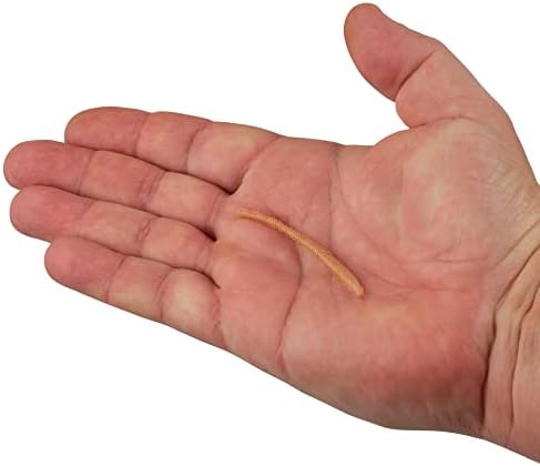 Berkley PowerBait Power Floating Trout Worm Fishing Soft Bait - Image 3