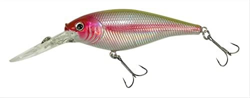 Berkley Flicker Shad Fishing Lure, Chrome Clown, 3/16 oz, 2in | 5cm Crankbaits, Size, Profile and Dive Depth Imitates Real Shad, Equipped with Fusion19 Hook by Berkley