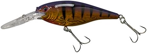 Berkley Flicker Shad Fishing Lure, Slick Purple Bengal, 1/4 oz, 2 1/4in | 6cm Crankbaits, Size, Profile and Dive Depth Imitates Real Shad, Equipped with Fusion19 Hook by Berkley