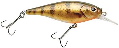 Berkley Flicker Shad Shallow by Berkley