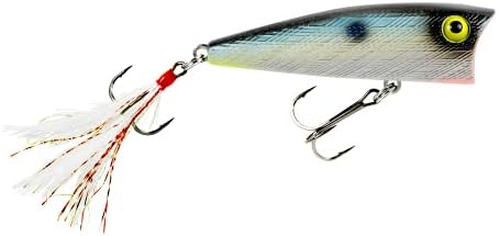 Rebel Pop-R Feathered Topwater Popper Fishing Lure - Image 2