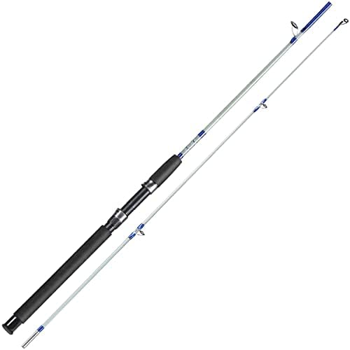 Sougayilang Fishing Rod, 2-Piece Composite Graphite & Glass Blanks Saltwater Trolling Rod Offshore Surf Fishing Pole with Stainless Steel Line Guides for Catfish, Salmon Glass Fiber Spinning Rod by Sougayilang