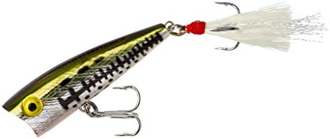 Rebel Lures Pop-R Topwater Popper Fishing Lure by Rebel