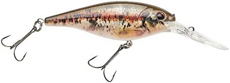 Berkley Flicker Shad Fishing Lure, HD Blacknose Dace, 3/16 oz, 2in | 5cm Crankbaits, Size, Profile and Dive Depth Imitates Real Shad, Equipped with Fusion19 Hook by Berkley