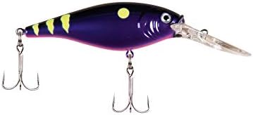 Berkley Flicker Shad Fishing Lure, Firetail Chrome Candy, 5/16 oz, 2 3/4in | 7cm Crankbaits, Size, Profile and Dive Depth Imitates Real Shad, Equipped with Fusion19 Hook by Berkley