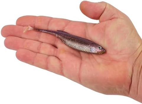 Berkley PowerBait Drip Swimmer Fishing Soft Bait - Image 5