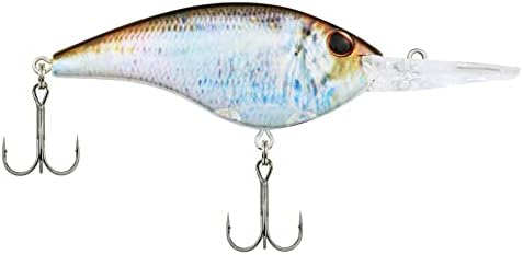 Berkley Frittside Fishing Hard Bait - Image 2