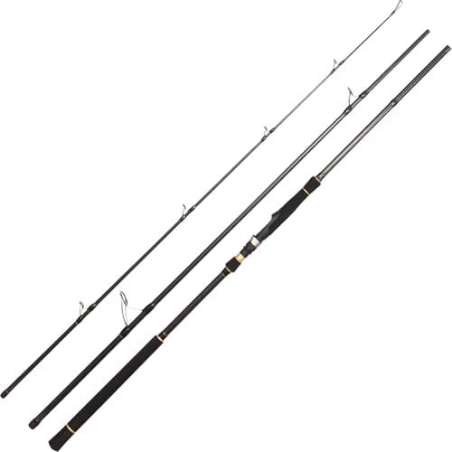 BERRYPRO Light Surf Spinning Rod Striper Fishing Rod Striped Bass surf Rod - Image 2