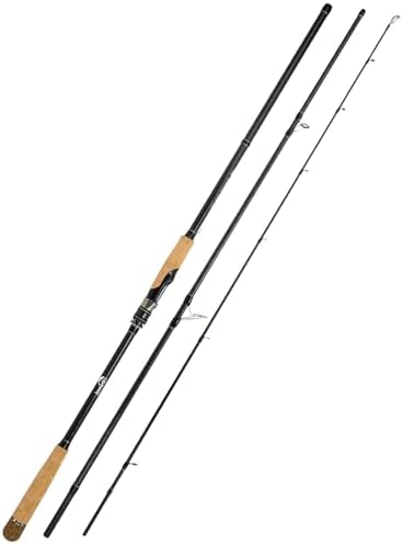 Jenseits Fishing Rods, Fishing Pole & Reel Combos for Freshwater Fishing by Jenseits