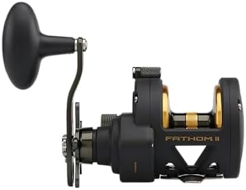 Penn Fathom II Star Drag Conventional Fishing Reel, Black Gold, 25N - Image 2
