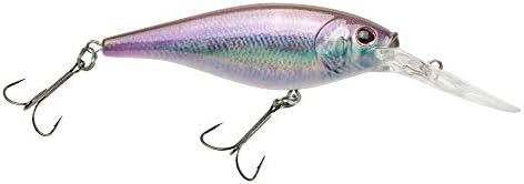 Berkley Flicker Shad Fishing Lure, HD Smelt, 5/16 oz, 2 3/4in | 7cm Crankbaits, Size, Profile and Dive Depth Imitates Real Shad, Equipped with Fusion19 Hook by Berkley