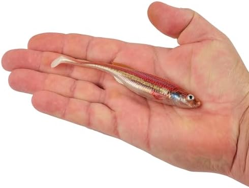 Berkley PowerBait Drip Swimmer Fishing Soft Bait - Image 5