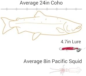 King COHO Humpy Sockeye Salmon Stealhead Squid Skirt Spinner Hoochie Lure UV Gill Double Hooks for Trolling Fishing - Image 4