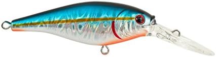 Berkley Flicker Shad Fishing Lure, Slick Blue Alewife, 3/16 oz, 2in | 5cm Crankbaits, Size, Profile and Dive Depth Imitates Real Shad, Equipped with Fusion19 Hook by Berkley