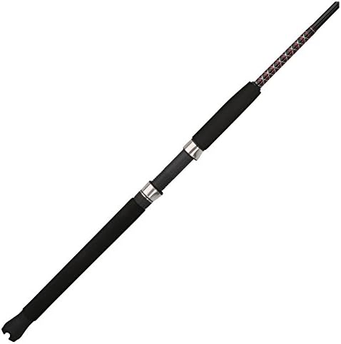 Ugly Stik Bigwater Spinning Fishing Rod by UglyStik