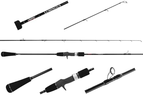 Jigging World Luminous Slow Casting Rods by Unknown