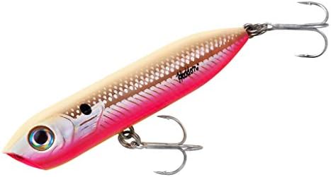 Heddon Chug'N Spook Popper Topwater Fishing Lure for Saltwater and Freshwater by Heddon